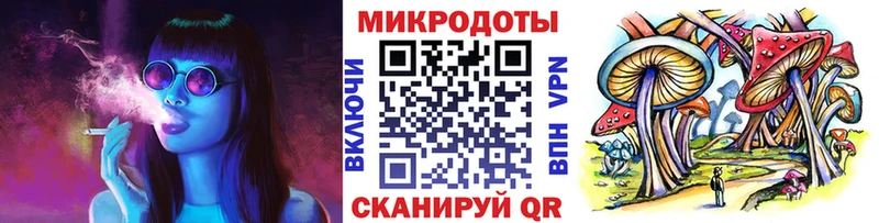 МЕГА ССЫЛКА  Чита  Псилоцибиновые грибы мицелий 