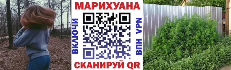 Бошки марихуана SATIVA & INDICA  Чита 